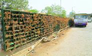 green wall