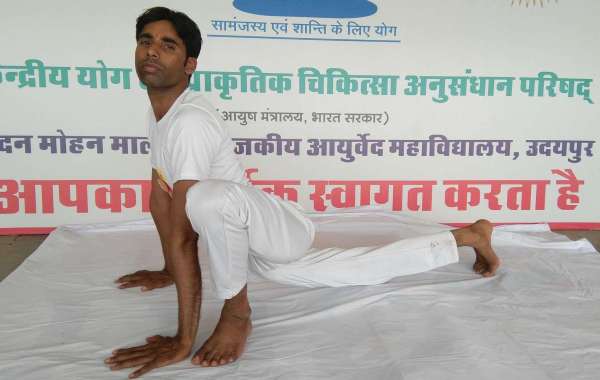 international Yoga Day World Record In Udaipur