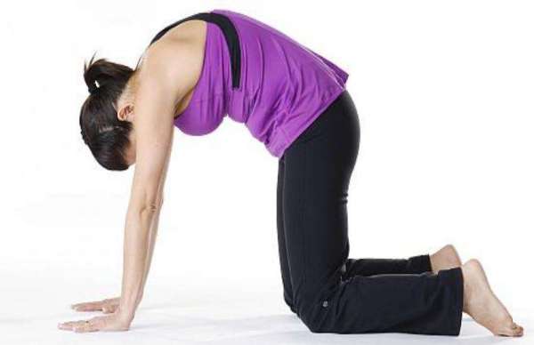 yogasan