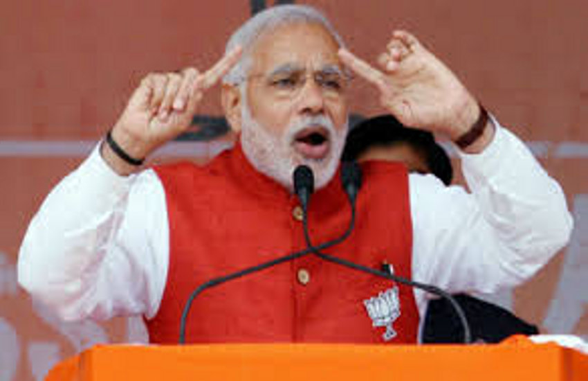 PM Modi favourite cock