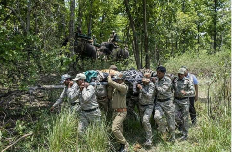 Satkosia Tiger Reserve