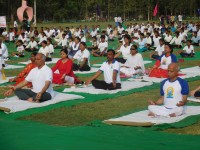 world yoga day