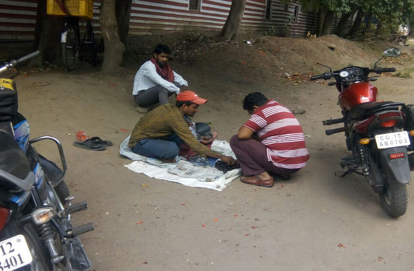 CG Utility News : मौसमी फल जामुन की बढ़ी मांग, पांच बिंदुओं में जानें इसके गुणकारी लाभ...