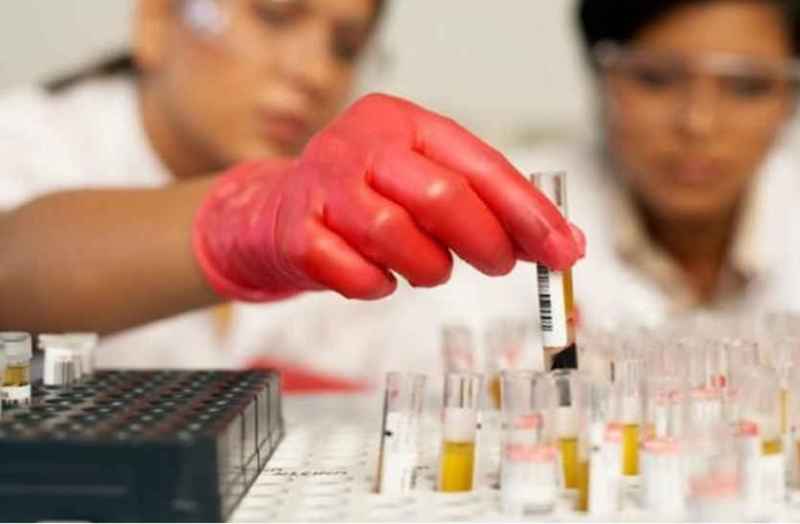 Lab workers boycott work in bhilwara