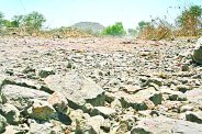 बालोतरा बीओटी पुल व तिलवाड़ा रपट के लिए तीन करोड़ का बजट स्वीकृत