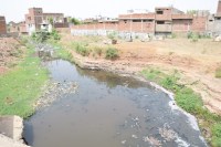 satna nagar nigam ward no.35 news in hindi