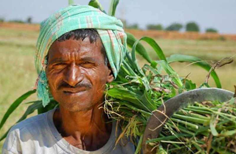 Debt waiver scheme in bhilwara