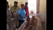 kidnapping of four people sleeping