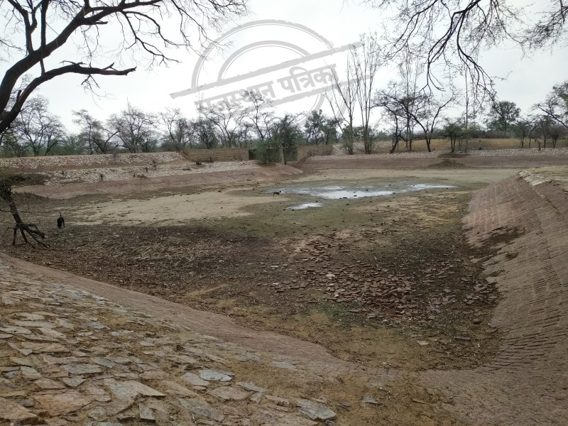 sanjay smriti van in shahpura jaipur rajasthan