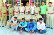 criminal arrested