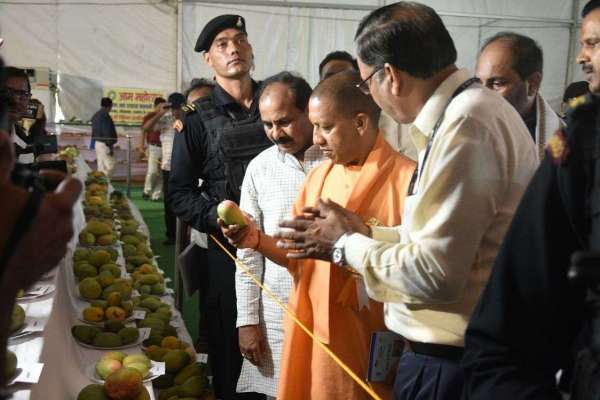 lucknow