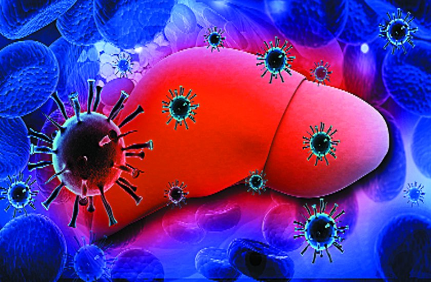 Hepatitis B attacks liver