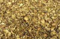 22 kg doda recovered from car in bhilwara