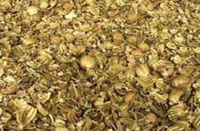 22 kg doda recovered from car in bhilwara