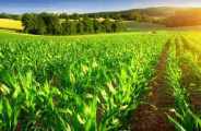 Prime Minister's Agriculture Irrigation Scheme in bhilwara