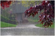 Good news, monsoon rain is coming soon