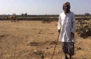 बारिश से बुवाई में जुटे किसान, खेतों की ले रहे  सार-संभाल