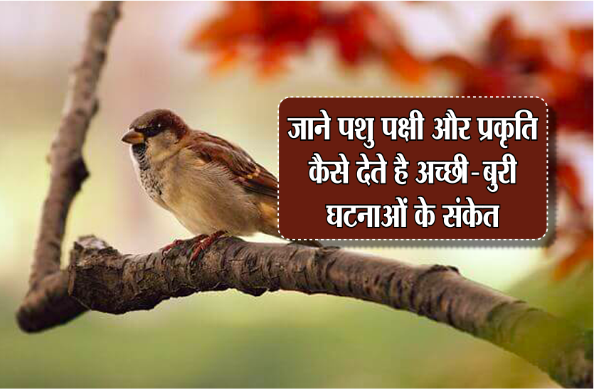 vastu tips
