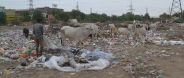 Alwar : could not be the tender of the waste management again