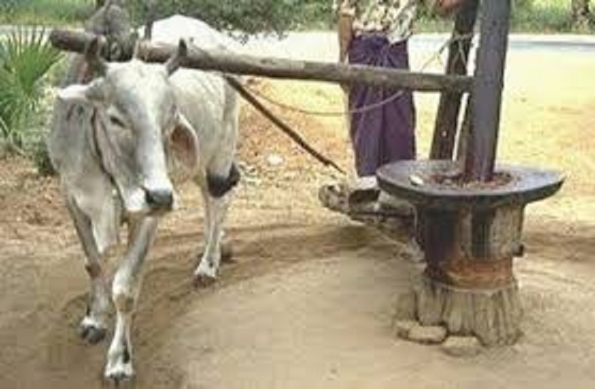 Sesame oil Traditional work