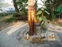 Jyeshtha Shukla Purnima today