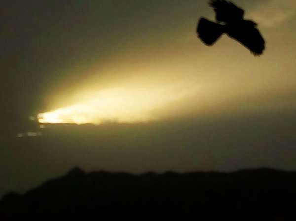 Beautiful pics of the sunrise