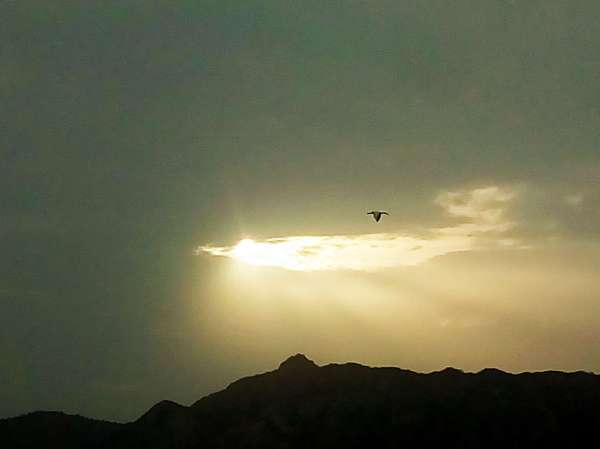 Beautiful pics of the sunrise