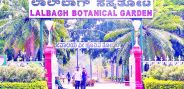 lalbagh