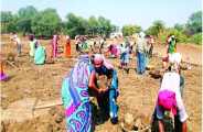 MANREGA in bhilwara
