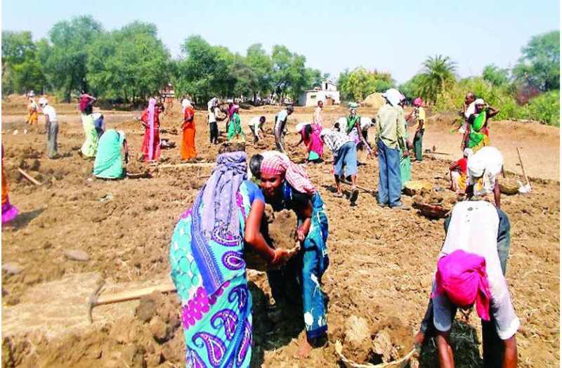 MANREGA in bhilwara