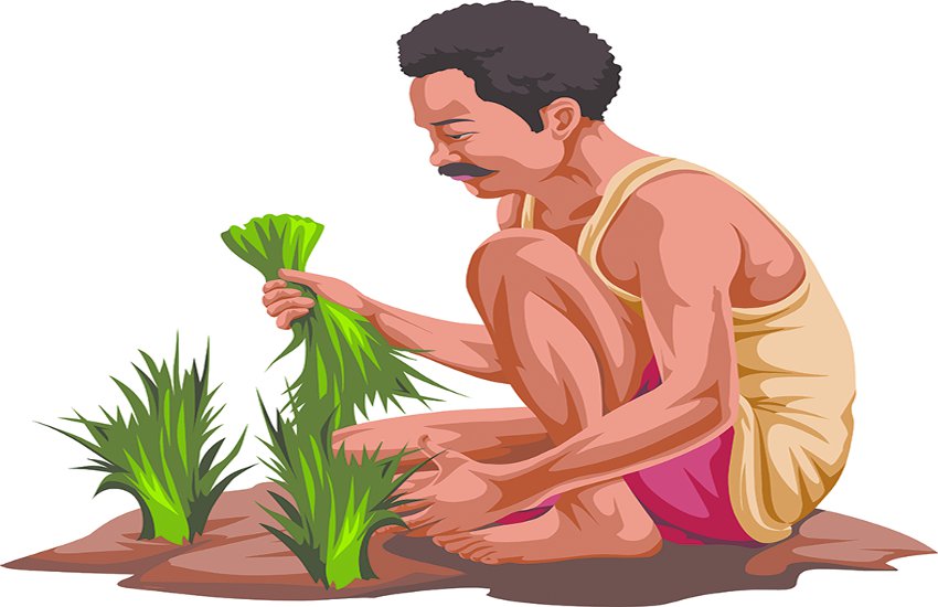 Can not be Crop auction