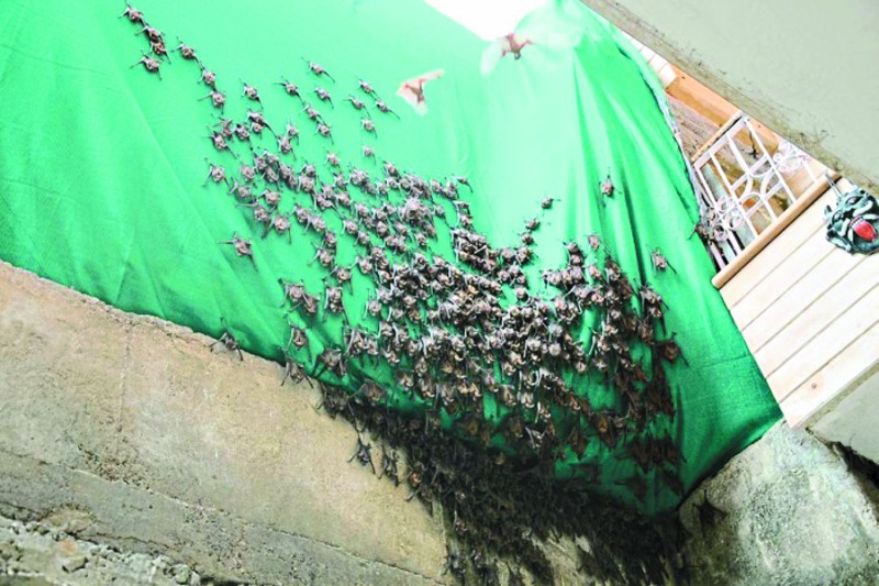 Jodhpur Nagar Nigam : mismanaged condition