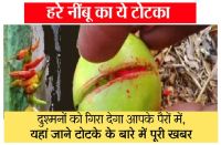 nimbu ke aasan totka in hindi