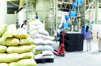 जांच के बाद विभाग में दबा यह प्रकरण दो साल बाद सामने