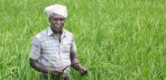 farmers happy because of heavy rain in city