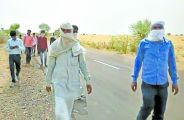 sardarsahar