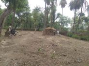 Land Mafia encroachment in sariska jungle