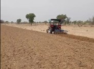 farming