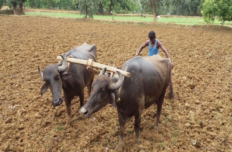 सुबह से बारिश का दौर चलता रहा
