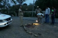 Udaipur Murder