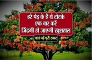 indian astrology tips in hindi