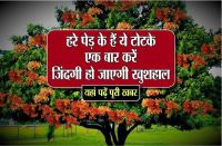 indian astrology tips in hindi