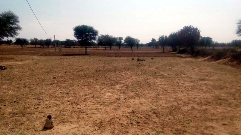 manshabhim singh news