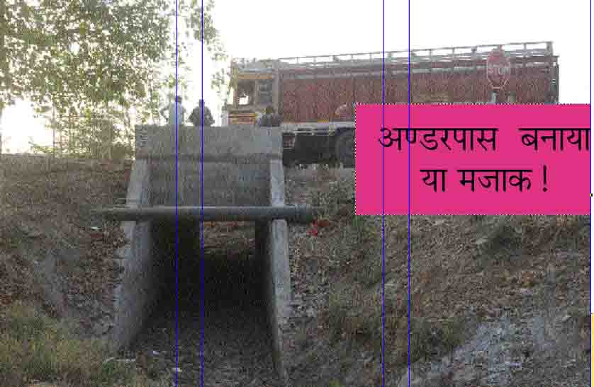 rajsamand hindi news
