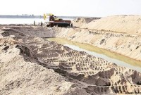 The enthusiasm of sand traders