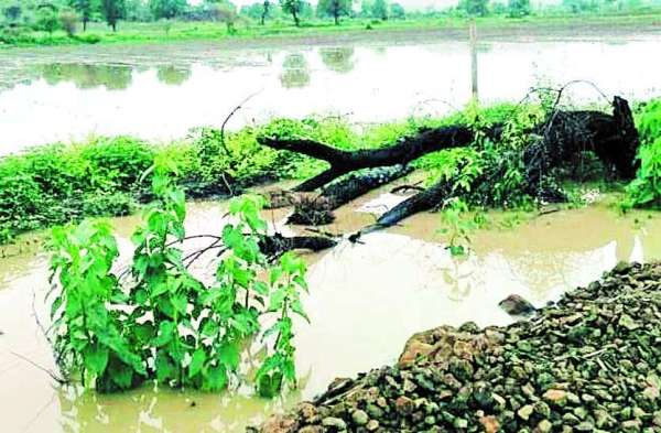 Rain: Somewhere disturbance, somewhere relief