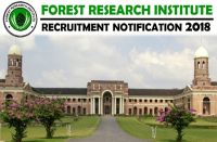 recruitment-to-junior-consultant