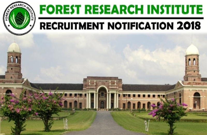 recruitment-to-junior-consultant