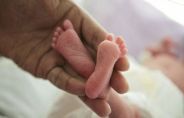 neonatal