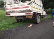 Leg cut